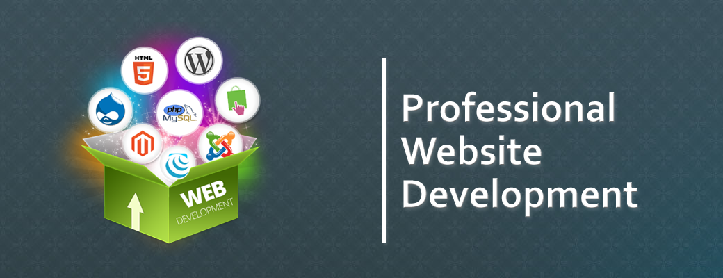 website developers india