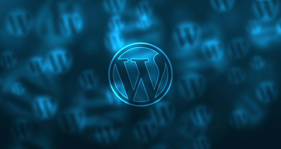 wordpress development